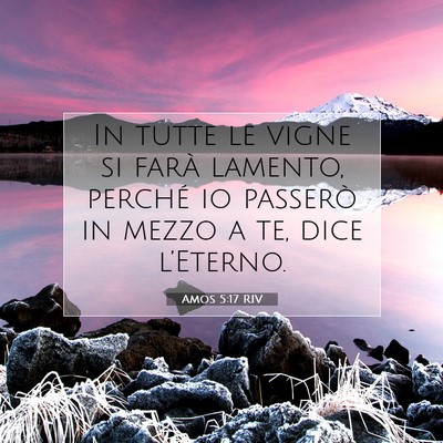 Picture 07 - Amos 5:17 RIV - In tutte le vigne si farà lamento, perché io - Bible Verse Picture