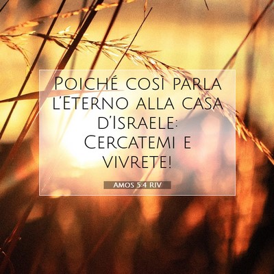 Picture 07 - Amos 5:4 RIV - Poiché così parla l’Eterno alla casa - Bible Verse Picture