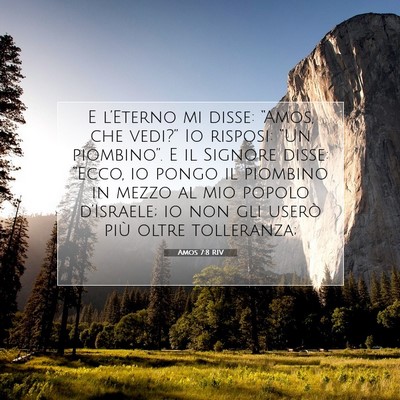 Picture 07 - Amos 7:8 RIV - E l’Eterno mi disse: “Amos, che vedi?” Io - Bible Verse Picture