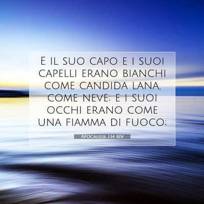 Picture 07 - Apocalisse 1:14 RIV - E il suo capo e i suoi capelli erano bianchi come - Bible Verse Picture