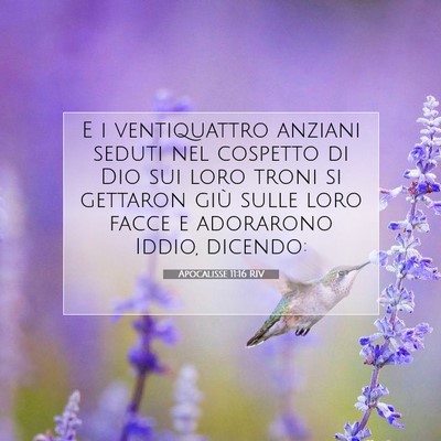 Picture 07 - Apocalisse 11:16 RIV - E i ventiquattro anziani seduti nel cospetto di - Bible Verse Picture