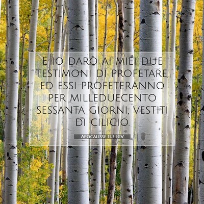 Picture 07 - Apocalisse 11:3 RIV - E io darò ai miei due testimoni di profetare, ed - Bible Verse Picture