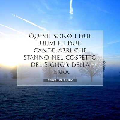 Picture 07 - Apocalisse 11:4 RIV - Questi sono i due ulivi e i due candelabri che - Bible Verse Picture