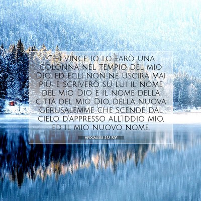 Picture 07 - Apocalisse 3:12 RIV - Chi vince io lo farò una colonna nel tempio del - Bible Verse Picture