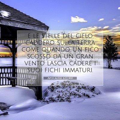 Picture 07 - Apocalisse 6:13 RIV - e le stelle del cielo caddero sulla terra come - Bible Verse Picture