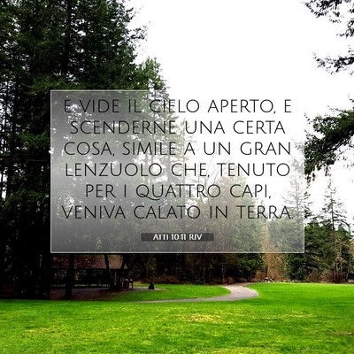 Picture 07 - Atti 10:11 RIV - e vide il cielo aperto, e scenderne una certa - Bible Verse Picture