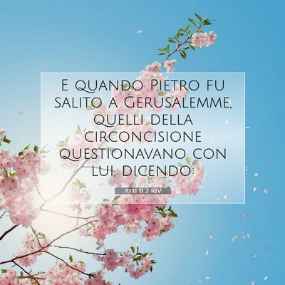 Picture 07 - Atti 11:2 RIV - E quando Pietro fu salito a Gerusalemme, quelli - Bible Verse Picture
