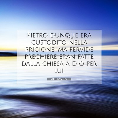 Picture 07 - Atti 12:5 RIV - Pietro dunque era custodito nella prigione; ma - Bible Verse Picture