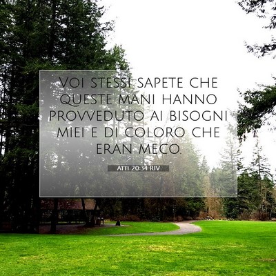 Picture 07 - Atti 20:34 RIV - Voi stessi sapete che queste mani hanno - Bible Verse Picture