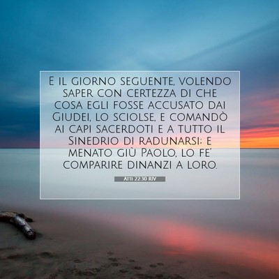 Picture 07 - Atti 22:30 RIV - E il giorno seguente, volendo saper con certezza - Bible Verse Picture