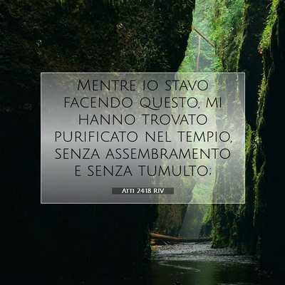 Picture 07 - Atti 24:18 RIV - Mentre io stavo facendo questo, mi hanno trovato - Bible Verse Picture