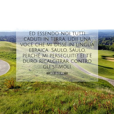 Picture 07 - Atti 26:14 RIV - Ed essendo noi tutti caduti in terra, udii una - Bible Verse Picture