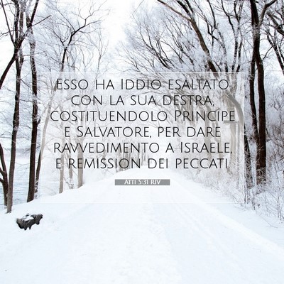 Picture 07 - Atti 5:31 RIV - Esso ha Iddio esaltato con la sua destra, - Bible Verse Picture