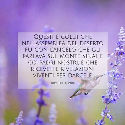 Picture 07 - Atti 7:38 RIV - Questi è colui che nell’assemblea del deserto - Bible Verse Picture