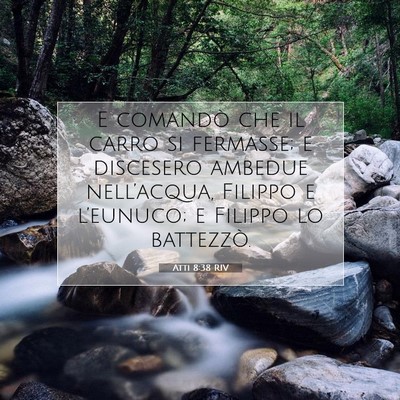 Picture 07 - Atti 8:38 RIV - E comandò che il carro si fermasse; e discesero - Bible Verse Picture