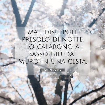 Picture 07 - Atti 9:25 RIV - ma i discepoli, presolo di notte, lo calarono a - Bible Verse Picture