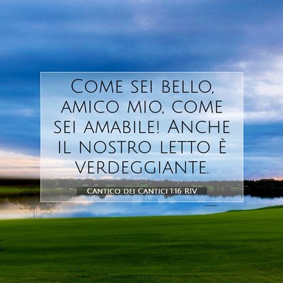 Picture 07 - Cantico dei Cantici 1:16 RIV - Come sei bello, amico mio, come sei amabile! - Bible Verse Picture
