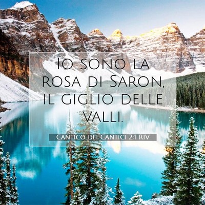 Picture 07 - Cantico dei Cantici 2:1 RIV - Io sono la rosa di Saron, il giglio delle - Bible Verse Picture