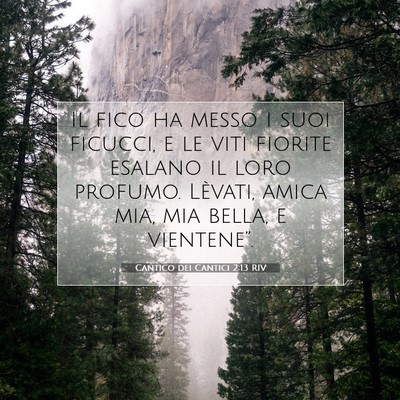 Picture 07 - Cantico dei Cantici 2:13 RIV - Il fico ha messo i suoi ficucci, e le viti - Bible Verse Picture