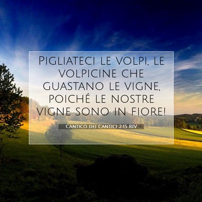 Picture 07 - Cantico dei Cantici 2:15 RIV - Pigliateci le volpi, le volpicine che guastano le - Bible Verse Picture