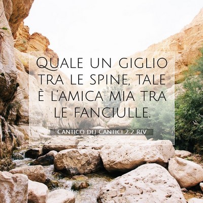 Picture 07 - Cantico dei Cantici 2:2 RIV - Quale un giglio tra le spine, tale è l’amica - Bible Verse Picture