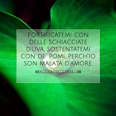 Picture 07 - Cantico dei Cantici 2:5 RIV - Fortificatemi con delle schiacciate d’uva, - Bible Verse Picture