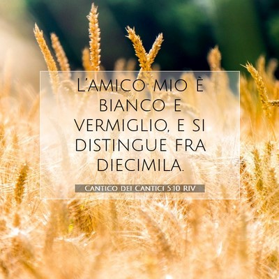 Picture 07 - Cantico dei Cantici 5:10 RIV - L’amico mio è bianco e vermiglio, e si - Bible Verse Picture