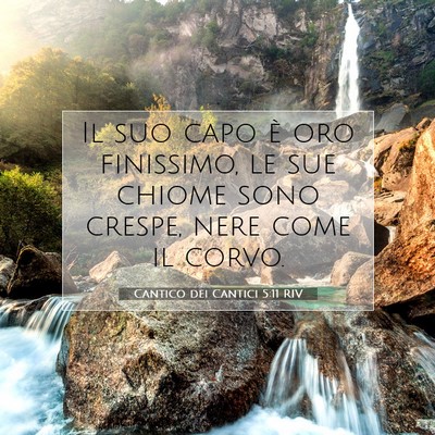 Picture 07 - Cantico dei Cantici 5:11 RIV - Il suo capo è oro finissimo, le sue chiome sono - Bible Verse Picture
