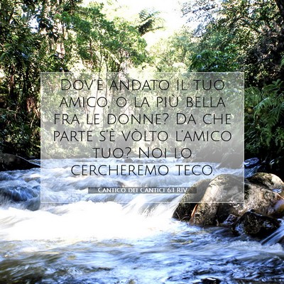 Picture 07 - Cantico dei Cantici 6:1 RIV - Dov’è andato il tuo amico, o la più bella fra - Bible Verse Picture