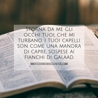 Picture 07 - Cantico dei Cantici 6:5 RIV - Storna da me gli occhi tuoi, che mi turbano. I - Bible Verse Picture