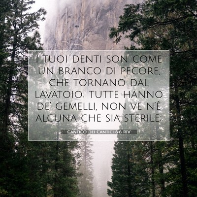 Picture 07 - Cantico dei Cantici 6:6 RIV - I tuoi denti son come un branco di pecore, che - Bible Verse Picture