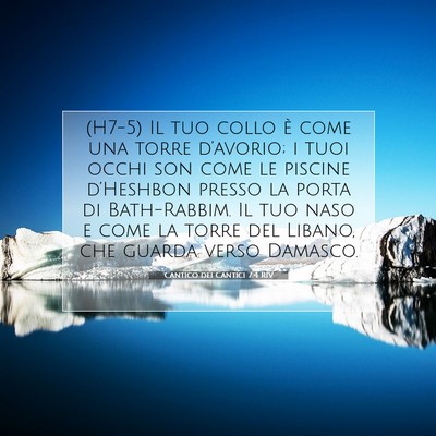 Picture 07 - Cantico dei Cantici 7:4 RIV - (H7-5) Il tuo collo è come una torre d’avorio; - Bible Verse Picture