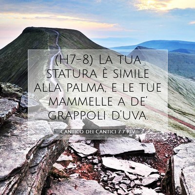Picture 07 - Cantico dei Cantici 7:7 RIV - (H7-8) La tua statura è simile alla palma, e le - Bible Verse Picture