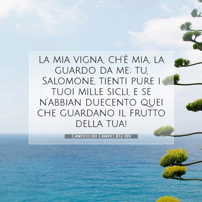 Picture 07 - Cantico dei Cantici 8:12 RIV - La mia vigna, ch’è mia, la guardo da me; tu, - Bible Verse Picture