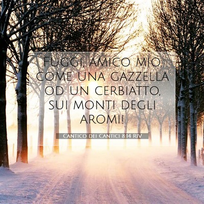 Picture 07 - Cantico dei Cantici 8:14 RIV - Fuggi, amico mio, come una gazzella od un - Bible Verse Picture