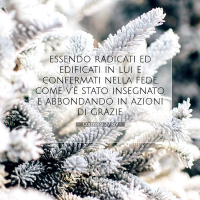 Picture 07 - Colossesi 2:7 RIV - essendo radicati ed edificati in lui e confermati - Bible Verse Picture