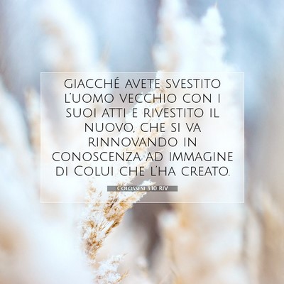 Picture 07 - Colossesi 3:10 RIV - giacché avete svestito l’uomo vecchio con i - Bible Verse Picture