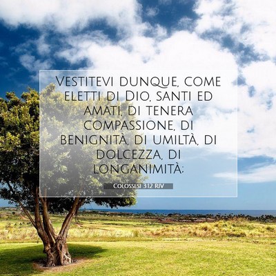 Picture 07 - Colossesi 3:12 RIV - Vestitevi dunque, come eletti di Dio, santi ed - Bible Verse Picture