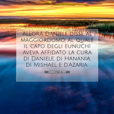 Picture 07 - Daniele 1:11 RIV - Allora Daniele disse al maggiordomo, al quale il - Bible Verse Picture