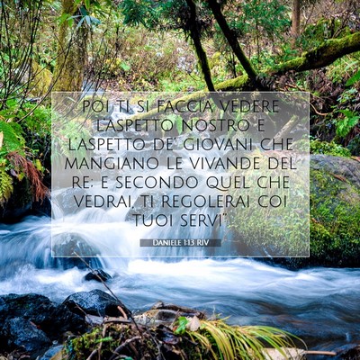 Picture 07 - Daniele 1:13 RIV - poi ti si faccia vedere l’aspetto nostro e - Bible Verse Picture