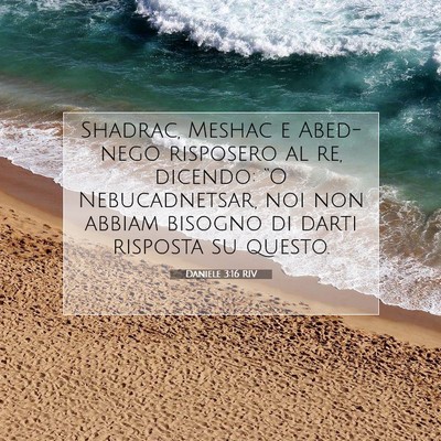 Picture 07 - Daniele 3:16 RIV - Shadrac, Meshac e Abed-nego risposero al re, - Bible Verse Picture