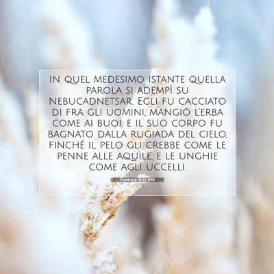 Picture 07 - Daniele 4:33 RIV - In quel medesimo istante quella parola si adempì - Bible Verse Picture