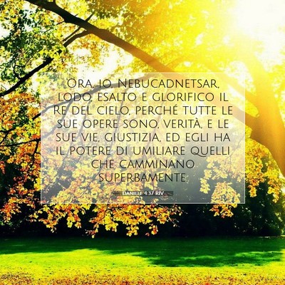 Picture 07 - Daniele 4:37 RIV - Ora, io, Nebucadnetsar, lodo, esalto e glorifico - Bible Verse Picture