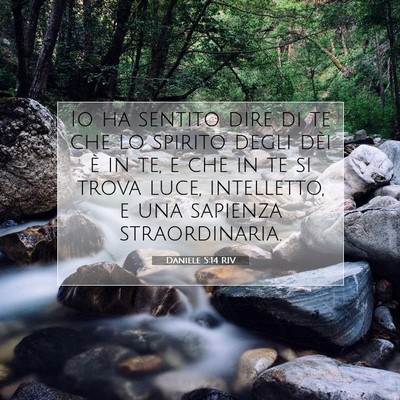 Picture 07 - Daniele 5:14 RIV - Io ha sentito dire di te che lo spirito degli - Bible Verse Picture