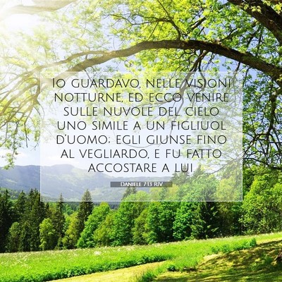 Picture 07 - Daniele 7:13 RIV - Io guardavo, nelle visioni notturne, ed ecco - Bible Verse Picture