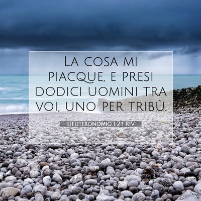 Picture 07 - Deuteronomio 1:23 RIV - La cosa mi piacque, e presi dodici uomini tra - Bible Verse Picture
