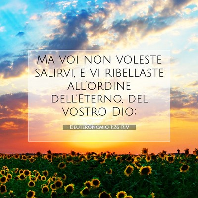 Picture 07 - Deuteronomio 1:26 RIV - Ma voi non voleste salirvi, e vi ribellaste - Bible Verse Picture