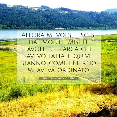 Picture 07 - Deuteronomio 10:5 RIV - Allora mi volsi e scesi dal monte; misi le tavole - Bible Verse Picture