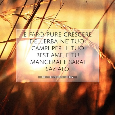 Picture 07 - Deuteronomio 11:15 RIV - e farò pure crescere dell’erba ne’ tuoi - Bible Verse Picture