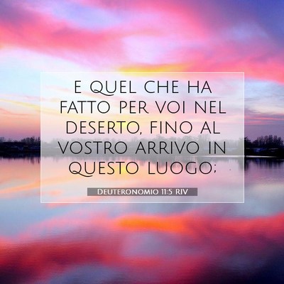 Picture 07 - Deuteronomio 11:5 RIV - e quel che ha fatto per voi nel deserto, fino al - Bible Verse Picture